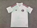 Camisa Away Catar 26-27 Torcedor